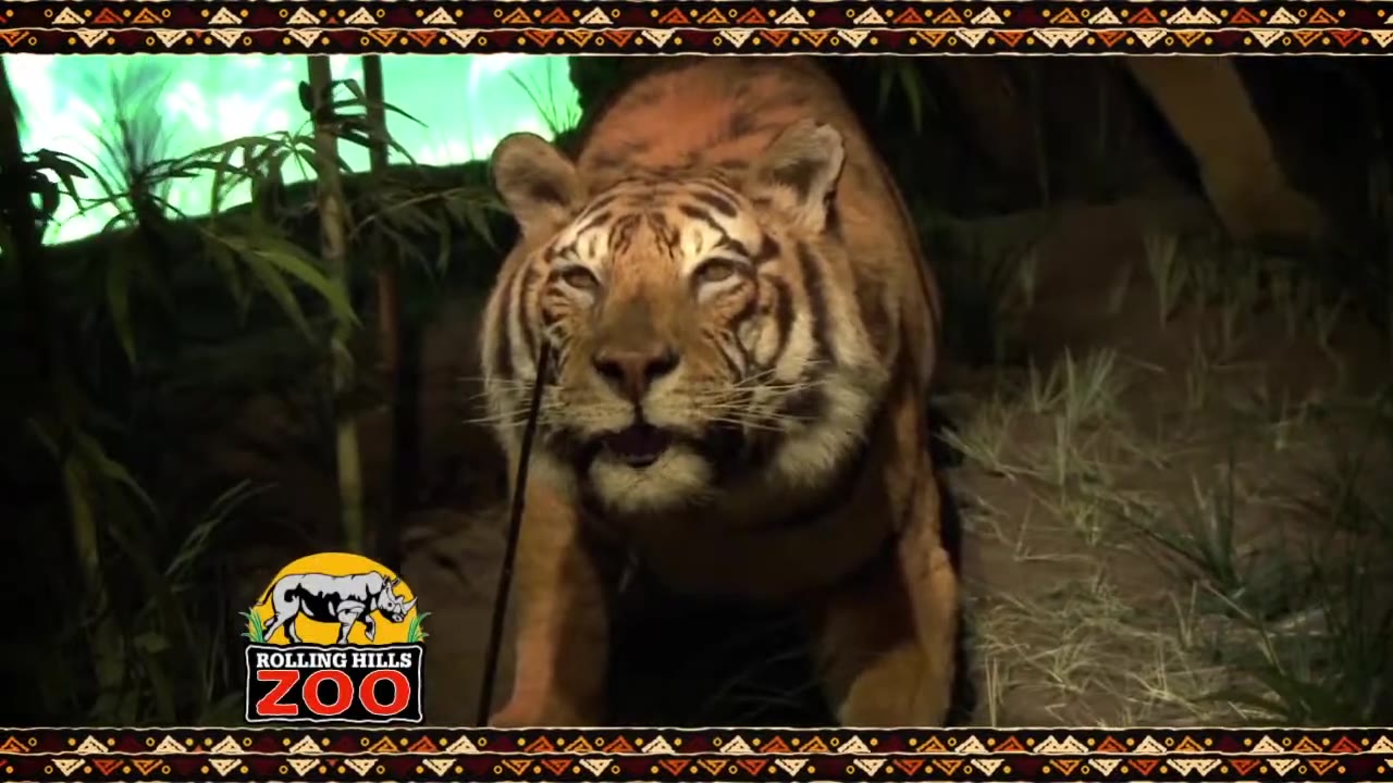 Rolling Hills Zoo Talking Animals commercial