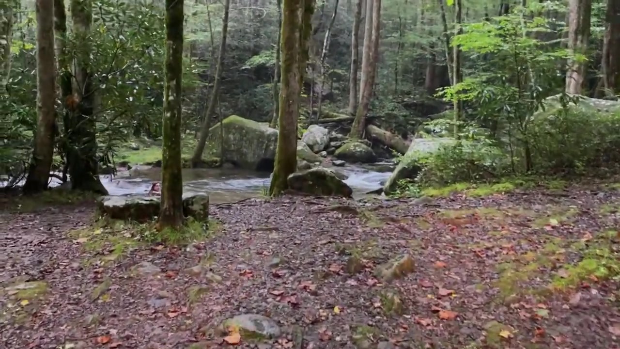 Tim Boknecht on location in the Smoky Mountains